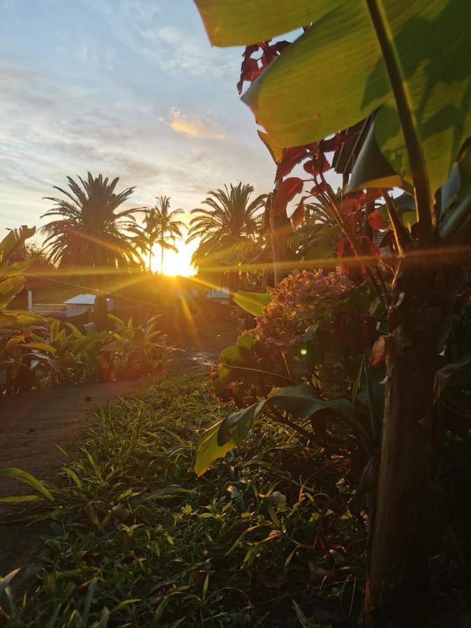 Hostal Tu'U Koihu Hanga Roa Exterior foto