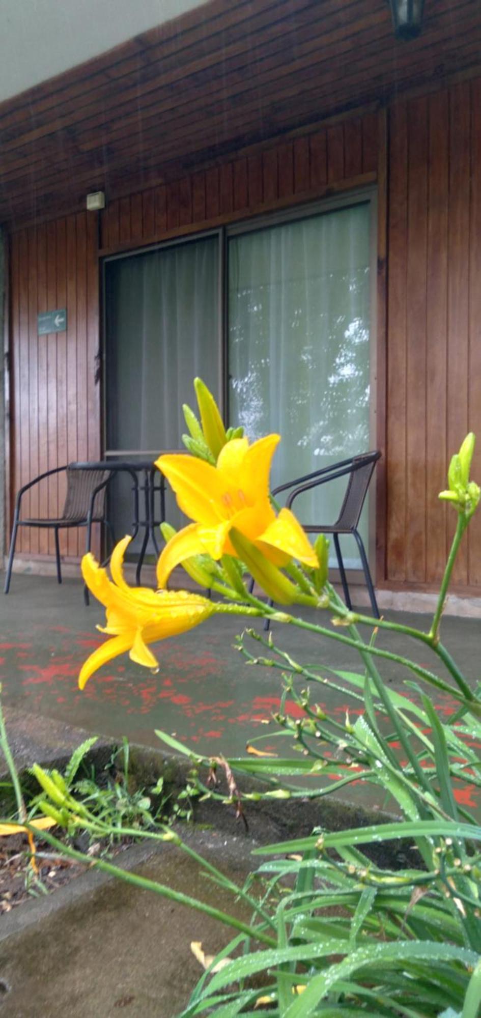 Hostal Tu'U Koihu Hanga Roa Exterior foto