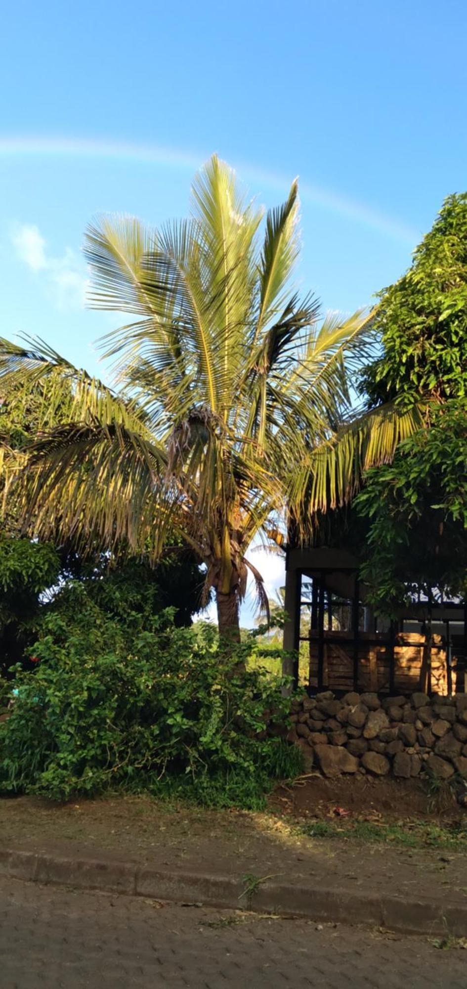 Hostal Tu'U Koihu Hanga Roa Exterior foto