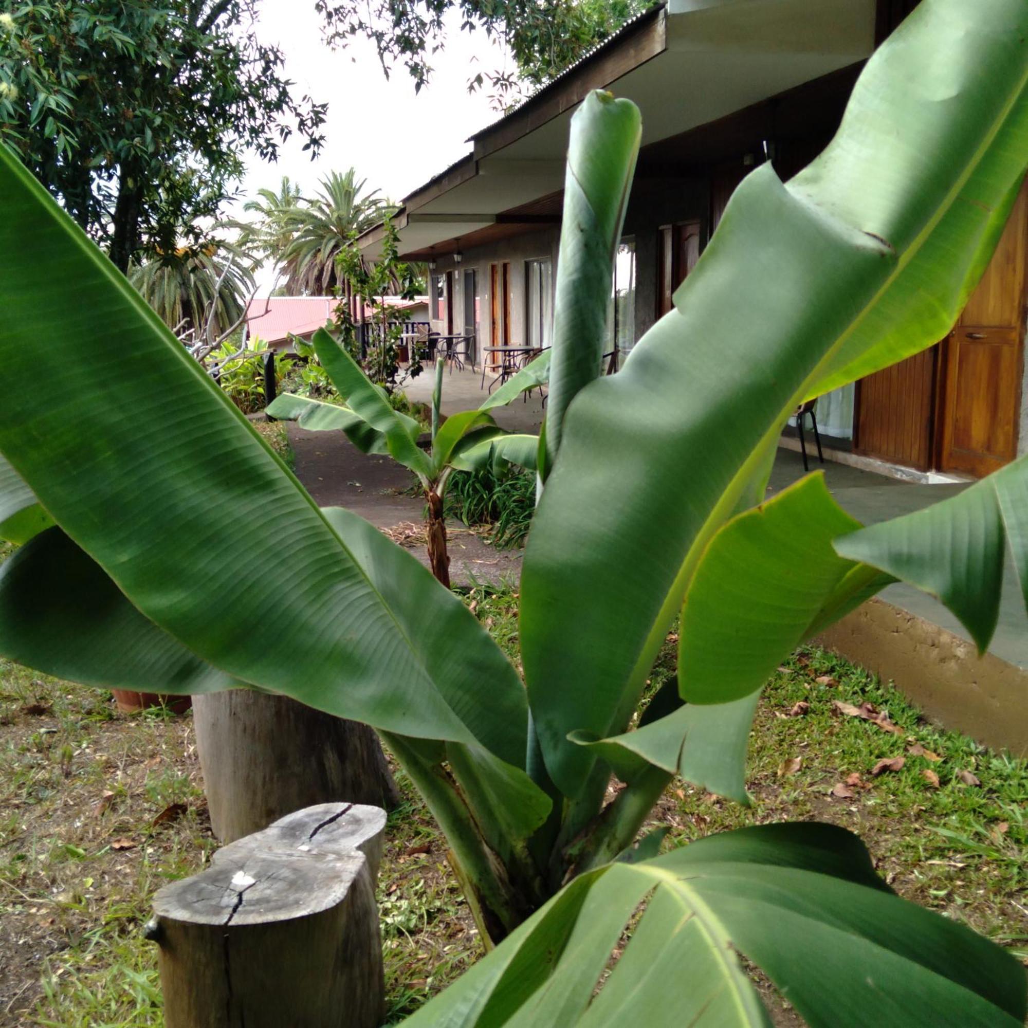 Hostal Tu'U Koihu Hanga Roa Exterior foto